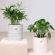 thumbnail image 4 of Ounissouiy Maceta resistente a la intemperie para interiores y exteriores - Jardines Belleza Maceta de cerámica Macetas Plantas Ecológicas Jardín y Patio blanco, 4 of 6