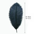 thumbnail image 3 of Craft Feathers Ballinger, avestruz azul marino, 25-30 cm, 24 unidades, 3 of 7