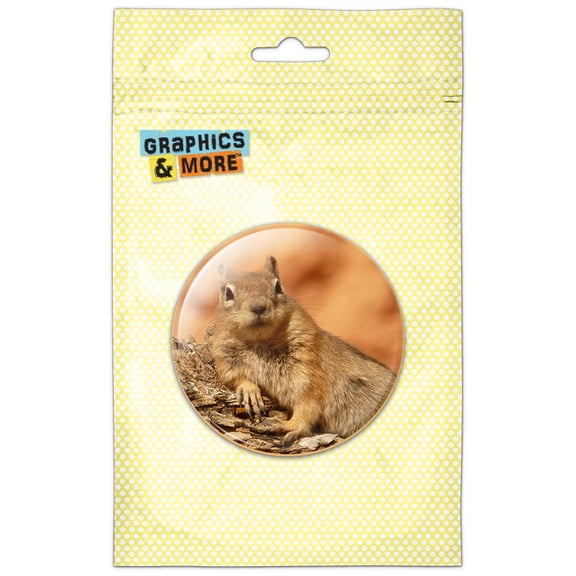 Ground Squirrel Resting Pinback Button Pin Badge
