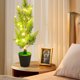 thumbnail image 4 of Ganfancp Led Luz de Noche Simulación Planta Árbol Luz Bonsai Pinaster Aguja Rábano Verde Dormitorio Escenografía Decoración Luz Ofertas Flash Liquidación Lámpara de Planta Simulada*1, 4 of 5