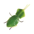 thumbnail image 3 of Mini Animal Figurines Model,Cake Toppers Collection Educational Toy,Miniature Crafts Realistic Detailed Action Figures For B, 3 of 9