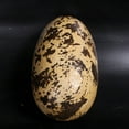 thumbnail image 4 of Small Theropod Dinosaur Egg Life Size Statue, 4 of 8