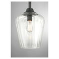 thumbnail image 5 of Matte Black One Light Pendant from the Carlton Collection, 5 of 5