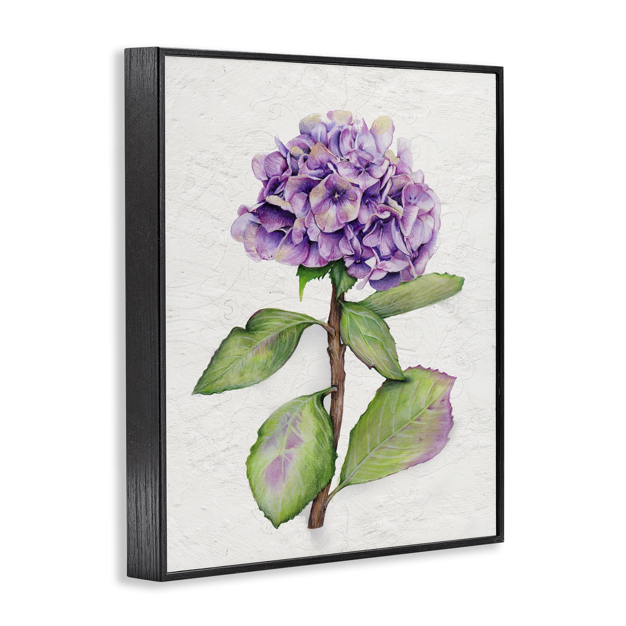 Stupell Industries European Style Hydrangea Botanical & Floral Painting Black Framed Art Print Wall Art, 11 x 14