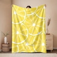 thumbnail image 2 of 1pc 280gsm Lemon Slices Patterned Flannel BlanketSummer Lemon Bedroom Decoration and Accessories Aesthetic Room Decor Festival Gifts Soft Printed Family Bedroom Dormitory Quilt Set, 2 of 9