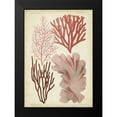 thumbnail image 2 of Vision Studio 18x24 Black Modern Framed Museum Art Print Titled - Seaweed Specimen in Coral III, 2 of 5