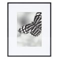 thumbnail image 1 of Cadre photo avec passe-partout, 1 of 5