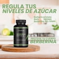 thumbnail image 4 of Nuboost Berberina Suplemento 500 mg 180 Cápsulas Sin OMG Certificado USDA MADE IN USA, 4 of 7