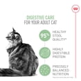 thumbnail image 3 of Feline Care Nutrition Digestive Care Adult - Dry Cat Food, 3 of 5