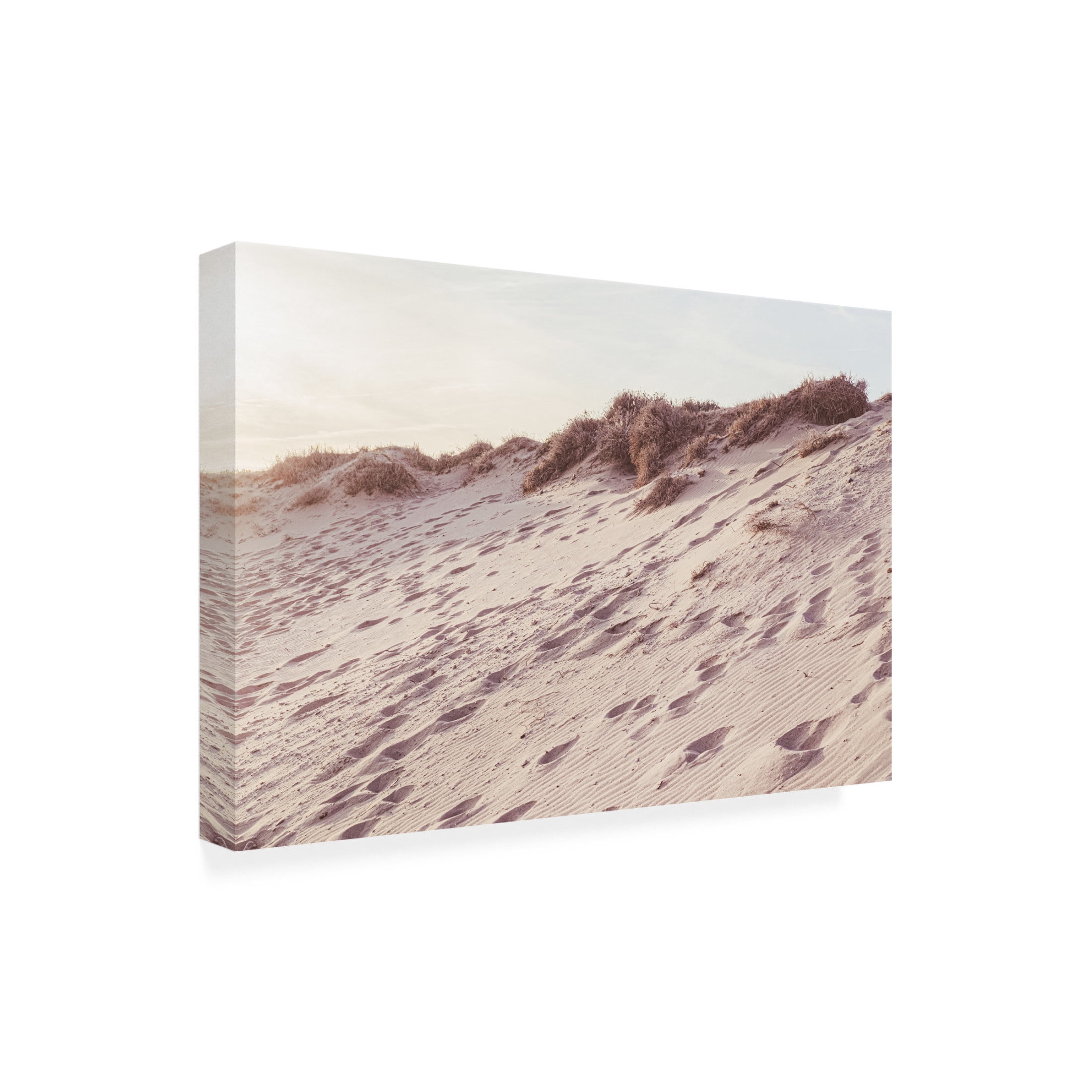 Trademark Fine Art Pictufy Studio III Beach 9 Canvas Wall Art