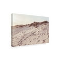 thumbnail image 4 of Trademark Fine Art Pictufy Studio III Beach 9 Canvas Wall Art, 4 of 4