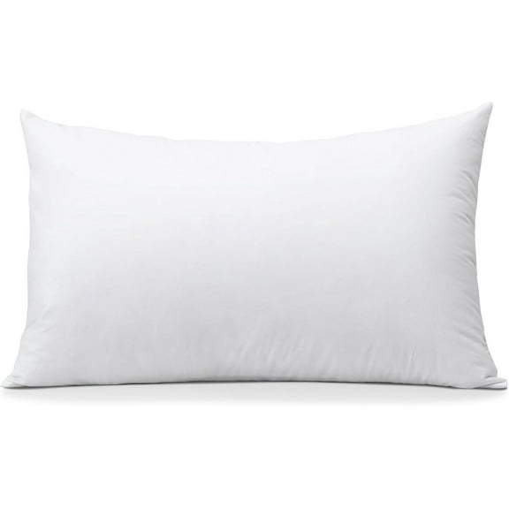 OTOSTAR Throw Pillow Insert, 12 x 20 Cushion Inner Soft Fluffy Plump Stuffer Cushion Pad White Decorative Pillow Insert
