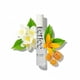 thumbnail image 1 of Perfume ETLEÉ Woody & Musky Eau de Parfum, 10 ml, para mujer y hombre, 1 of 8