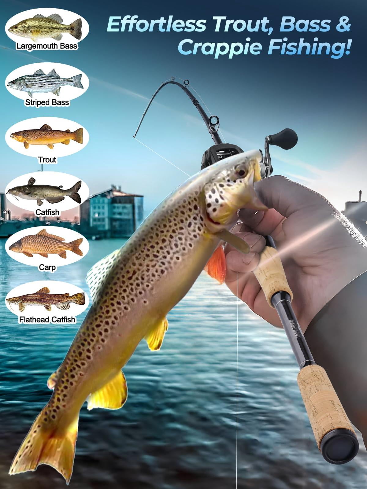 Fishing Rods  Carbon Fiber Spinning & Casting Poles Saltwater Resistant Guides 6'/7'/8'/9'/10'/12'-portable 2/3/4/-piece Telescopic Designs Cork/eva Grip For Bass Trout Inshore Surf