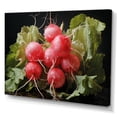 thumbnail image 2 of Designart "Radiant Radish Display" Vegetables Canvas Wall Art, 2 of 7