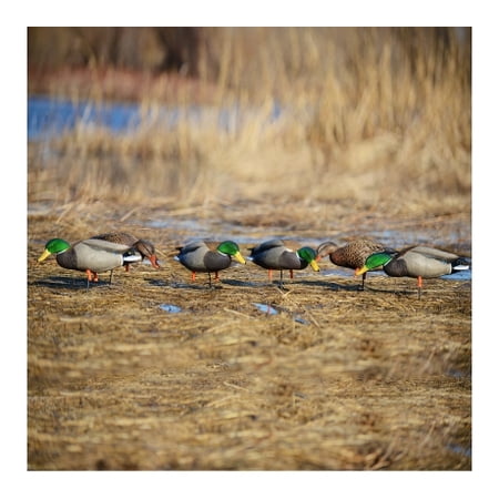 Greenhead Gear Pro Grade Duck Decoy Full Body Mallard Feeder