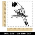 thumbnail image 2 of Sun Conure Parrot on a Branch Self-Inking Rubber Stamp Ink Stamper - Red Ink - Large 1-1/2 Inch, 2 of 7