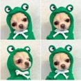 thumbnail image 2 of Sudadera Para Perros Gatos Con Estilo Rana, 2 of 7