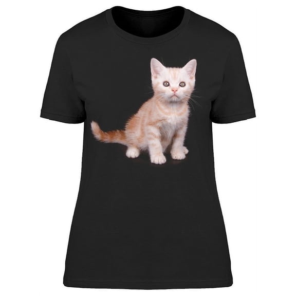 Cute Shorthair Kitten Sits T-Shirt Women -Image by Shutterstock, Female Large
