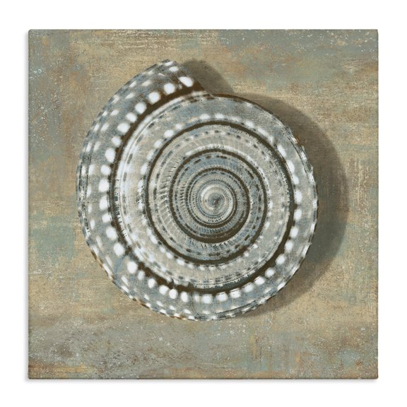 Stupell Industries Coastal Spiral Shell Beach Objects Canvas Art, 17 x 17, by Christy McKee