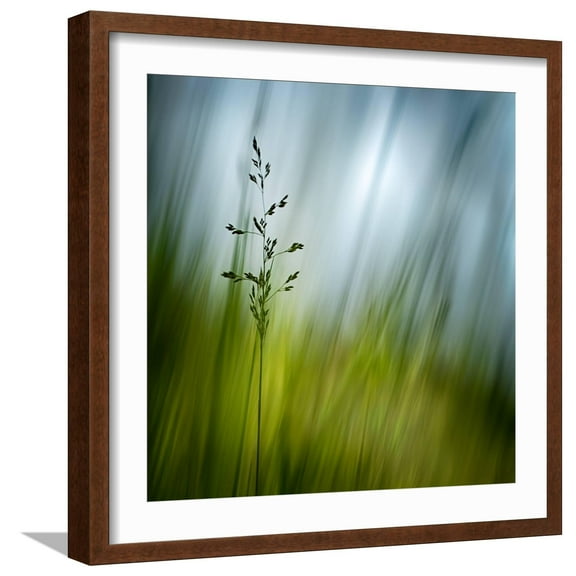 Art.com Morning Grass Photographic Print by Ursula Abresch, Brown Frame Wall Art, 21" x 21"