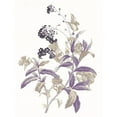 thumbnail image 3 of Grey, Jace 12x14 Black Modern Framed Museum Art Print Titled - Lavender Flowers Two, 3 of 5