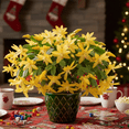 thumbnail image 5 of Yellow Christmas Cactus Live Plant, Christmas Cactus Plant, Yellow Flower Tree in 3 inch Pot for Indoor Houseplant, 5 of 6