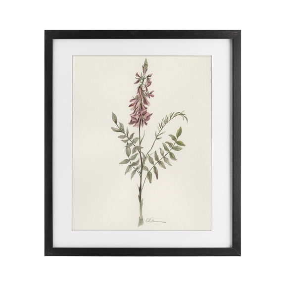 Stupell Industries Transitional Nature's Delicate Herb Sprig Black Framed Print Under Glass, 13 x 16, by Cady Driver