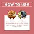 thumbnail image 5 of Pet Dog Syrup - Iron Support for Dogs with Peppermint Extract, Boosts Vitality & Energy, 5 of 5