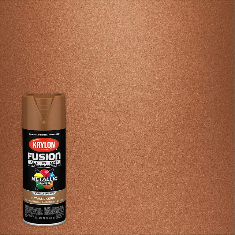 Krylon K02786007 Fusion All-In-One Spray Paint for Indoor/Outdoor Use,  Hammered Copper, 12 Oz. 