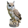 thumbnail image 1 of []1 1, 1 of 6