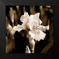 thumbnail image 2 of Donovan, Kelly 12x12 Black Modern Framed Museum Art Print Titled - Veronicas Garden I, 2 of 5
