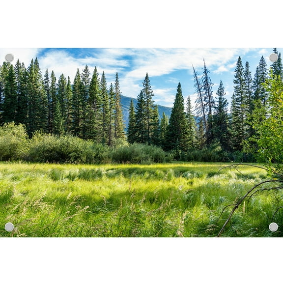 Diha 5x4ft Natural Forest Backdrop, Grassland Woods Distant Mountains Sky, Backdrop for Party Decoration, Outdoor Theme Bedroom Wedding Day Photoshoot Background, Kids Game Video Studio Props