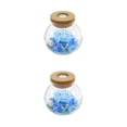 thumbnail image 1 of Ounissouiy Flor eterna luminosa - Exquisitas luces de colores autoajustables LED Linterna colorida azul claro azul claro 2piezas, 1 of 6