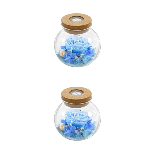 Ounissouiy Flor eterna luminosa - Exquisitas luces de colores autoajustables LED Linterna colorida azul claro azul claro 2piezas