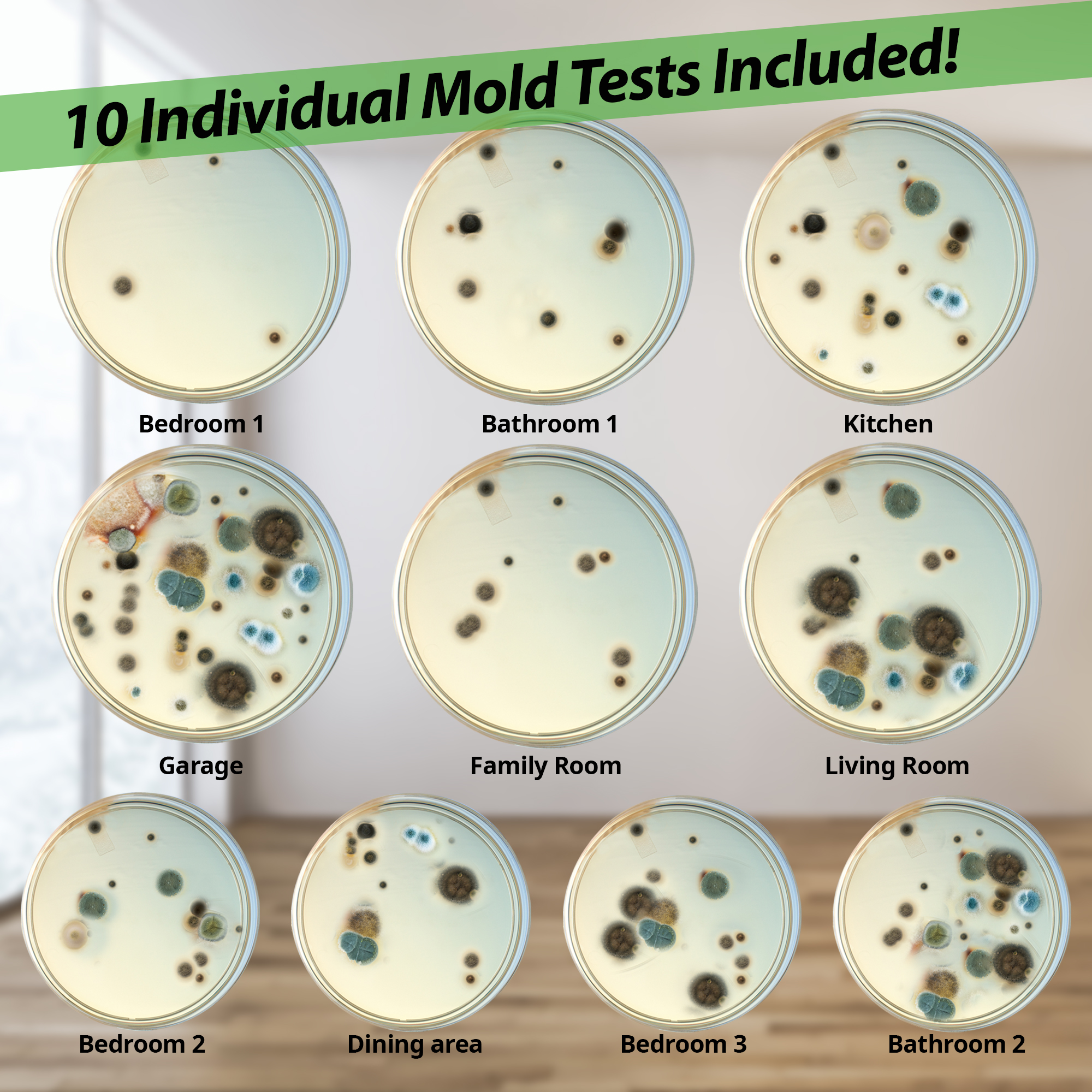 Evviva Sciences Mold Test Kit for Home - 10 Simple Detection Tests - Optional Lab Analysis - Test HVAC System, Room Air, & Home Surfaces - Includes