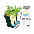 thumbnail image 5 of Mintra Garden - 14.5in Square - Large Garden Pot With Wheels (14.5inW x 15inH), 5 of 11