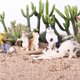 thumbnail image 3 of 5PCS Figurines, Educativo Cat Toy Set, para Huevos de Pascua Cake Topper de Cumpleaños de Navidad para Niñas Niñ Hugo Juguete de figuras de animales, 3 of 10