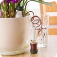 thumbnail image 1 of Estacas de riego para plantas clásicas - para uso diario en el hogar o en las vacaciones - Puntas de agua para plantas en interiores o exteriores - Riego automático por goteo, 1 of 4