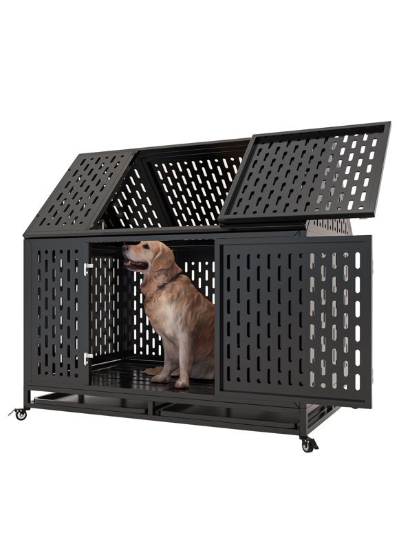 Outdoor Dog Kennels in Dog Kennels