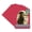 Deep Red, variant on Raspberry Red Picture Frame Mat for 12x16 Frames - Oval Opening for 10x14 Photos - 25 Mats