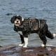 thumbnail image 4 of Xihbxyly Abrigo Reflectante para Mascotas, Diseño Impermeable para Exteriores, Malla de Seguridad, Ajuste Cómodo, Compañero para Paseos En La Playa, Hebilla En D para Correa, Tela de Secado Rápido, V, 4 of 5
