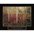 thumbnail image 2 of Frontline 18x15 Gold Ornate Wood Framed with Double Matting Museum Art Print Titled - Discovery - Aspen Trees, 2 of 4