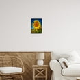 thumbnail image 3 of Stupell Industries Summery Sunflower Plant Blooming Summertime Clear Sky Photograph Gray Framed Art Print Wall Art, Design by Steve Smith, 3 of 5