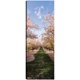 thumbnail image 1 of Cuadro Decorativo - Almendros en flor, 1 of 3