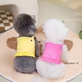 thumbnail image 4 of Adorable Pet Clothes for Cats & Small Dogs - Charming Spring & Autumn Wear, 4 of 5