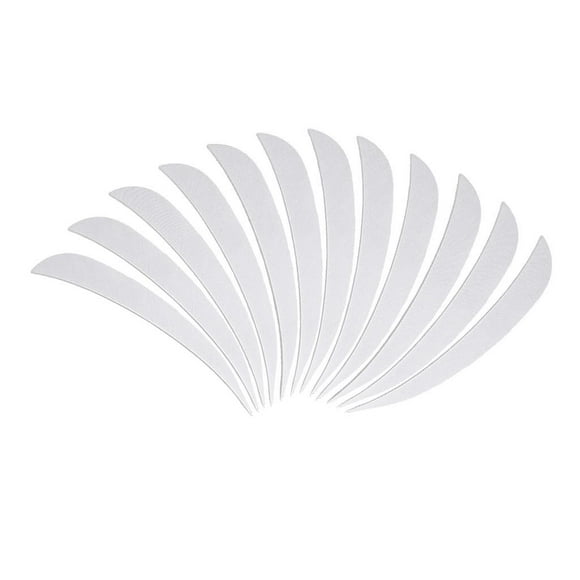 Almencla 12Pcs 3" Fletchings, Hunting Vanes, Turkey Natural Feathers with White