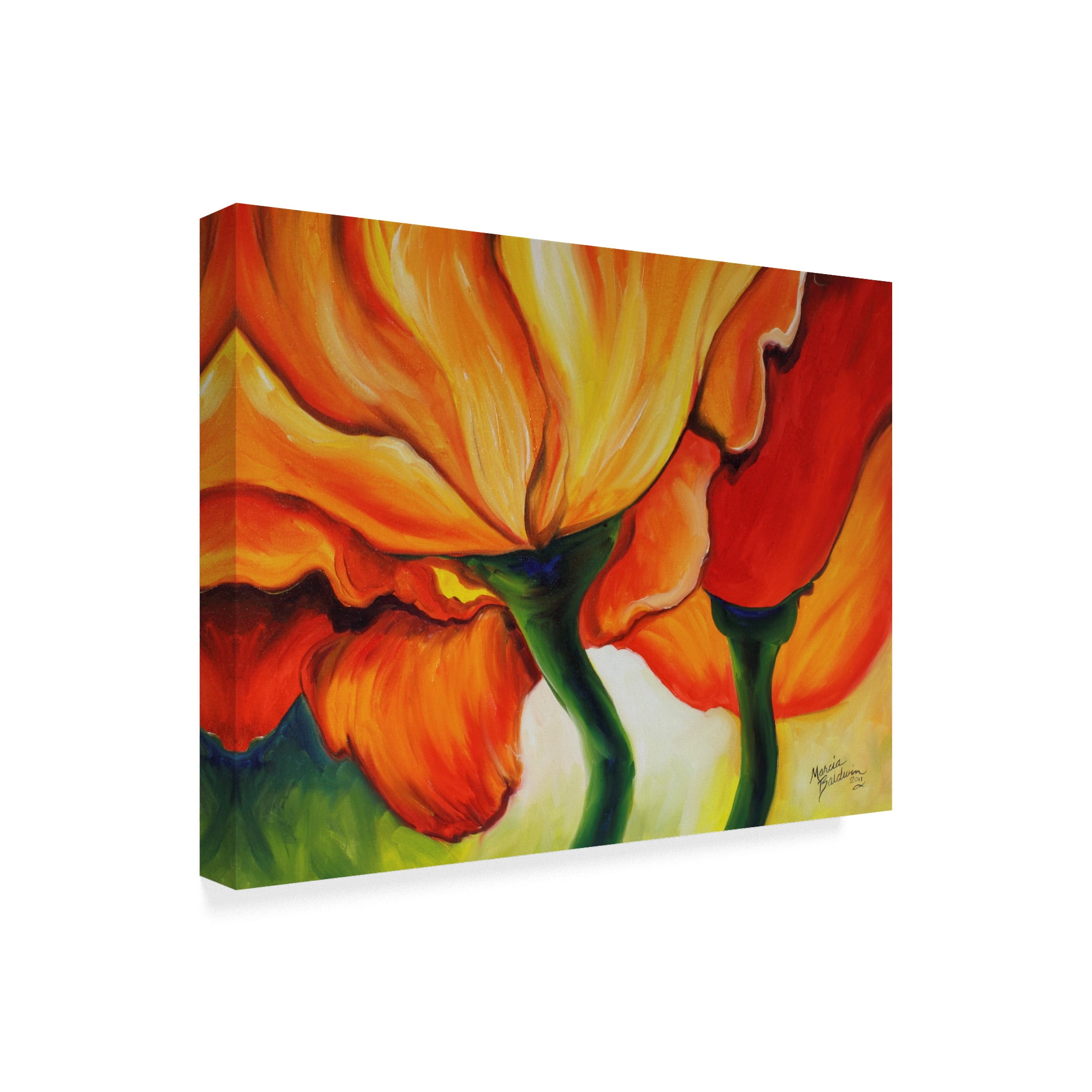 Trademark Fine Art 'Golden Poppy Abstract' Canvas Art by Marcia Baldwin