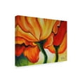 thumbnail image 2 of Trademark Fine Art 'Golden Poppy Abstract' Canvas Art by Marcia Baldwin, 2 of 3
