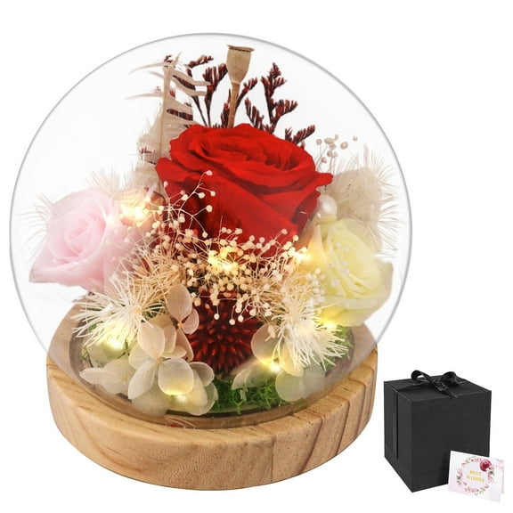 Preserved Rose Flowers for Women, Flowers Bouquet in Glass Dome with LED Lights, Gifts for Valentine's Day, Mother's Day
